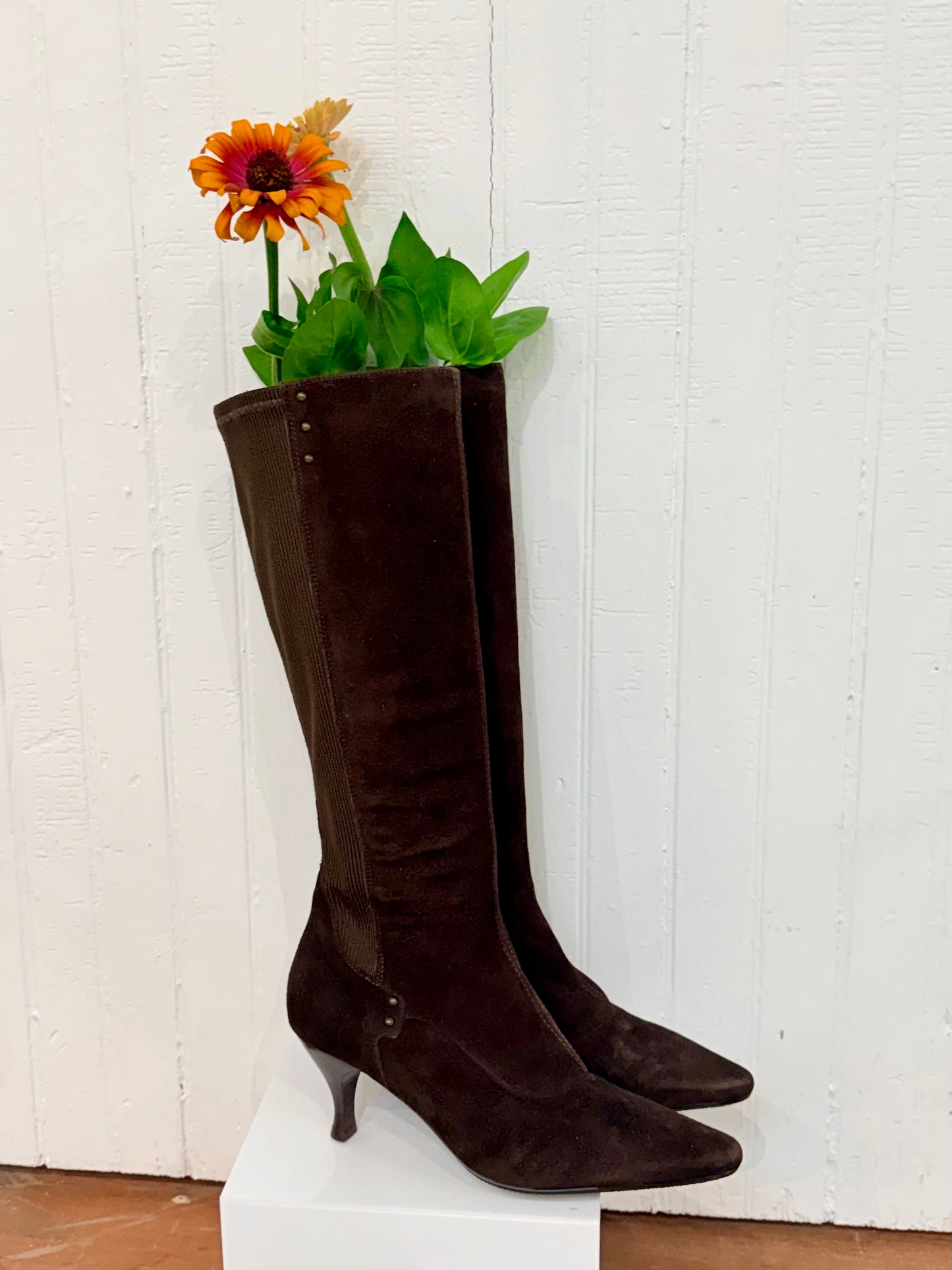 Pre-Loved Aquatalia Brown Suede Knee-High Boots