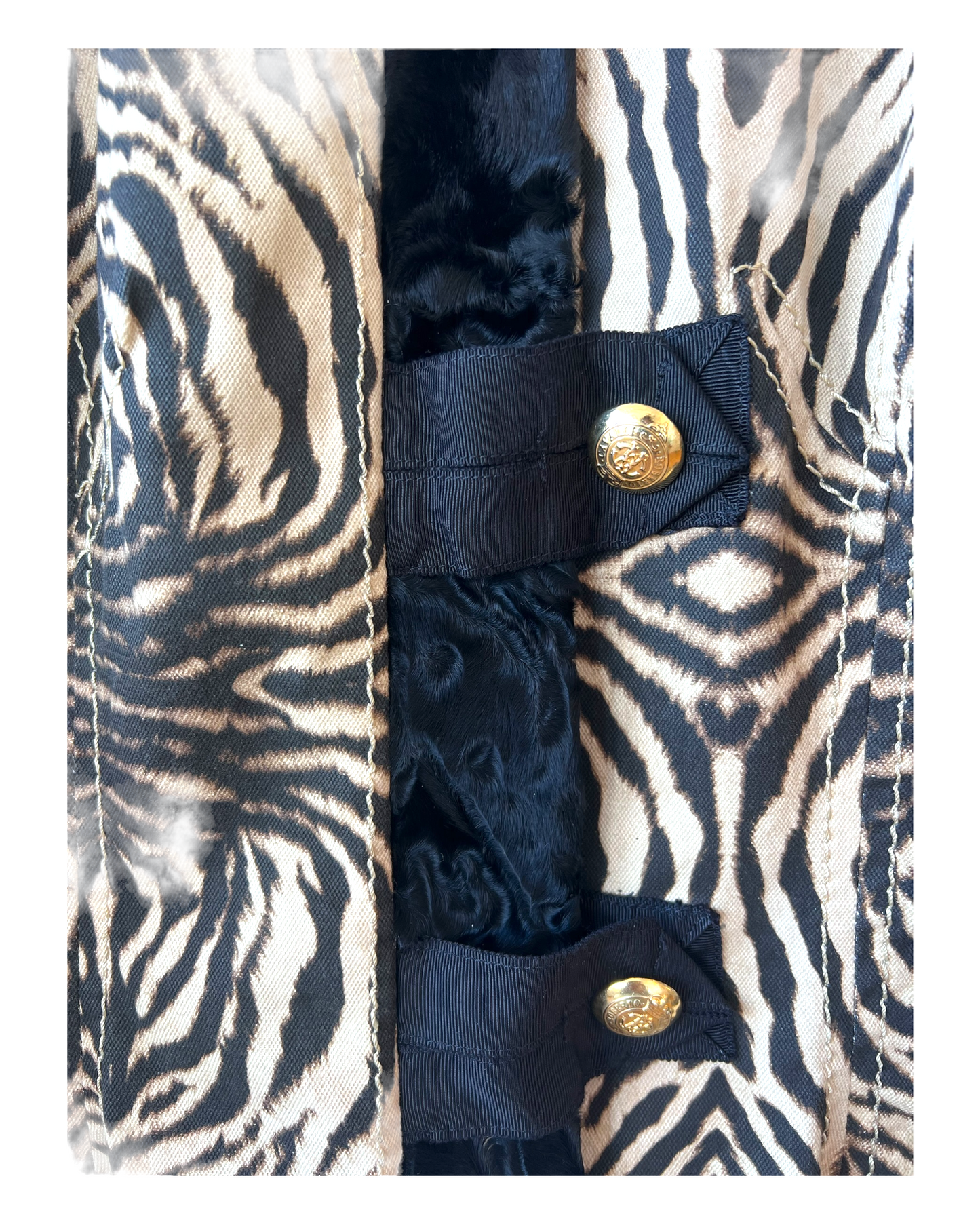 Vintage 2006 Roberto Cavalli Zebra Print and Fur Coat