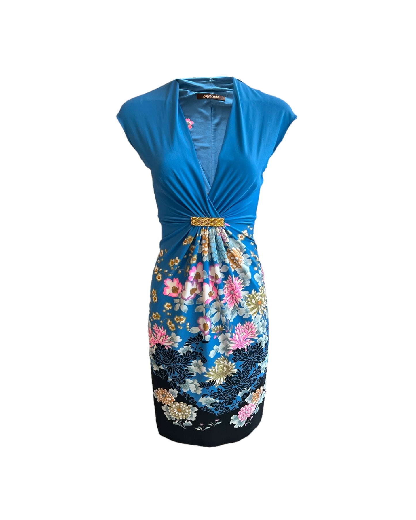 Vintage 2008 Roberto Cavalli Blue Chinoiserie Dress. features a plunging neckline.