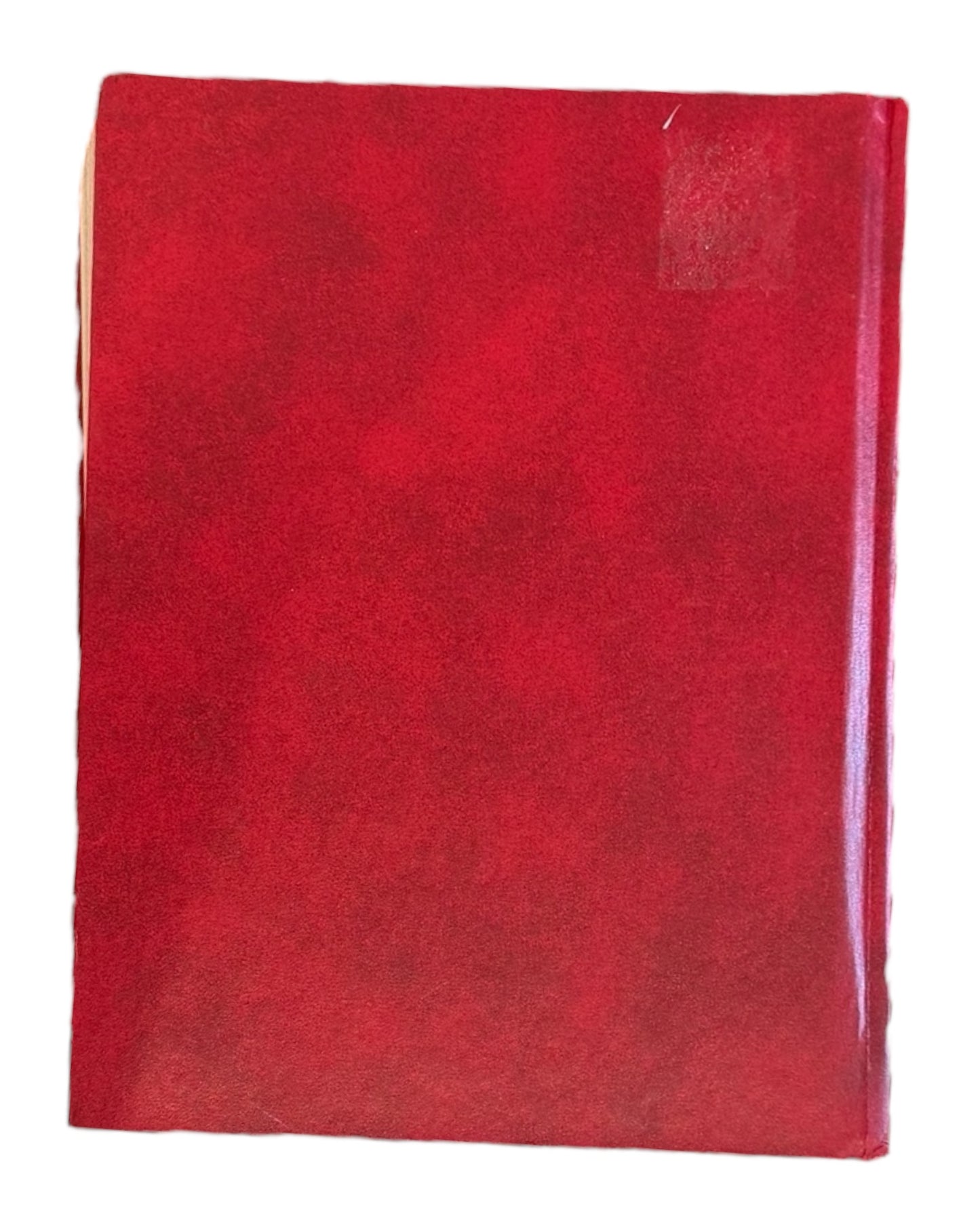 Family Medical & Prescription Drug Guide Book