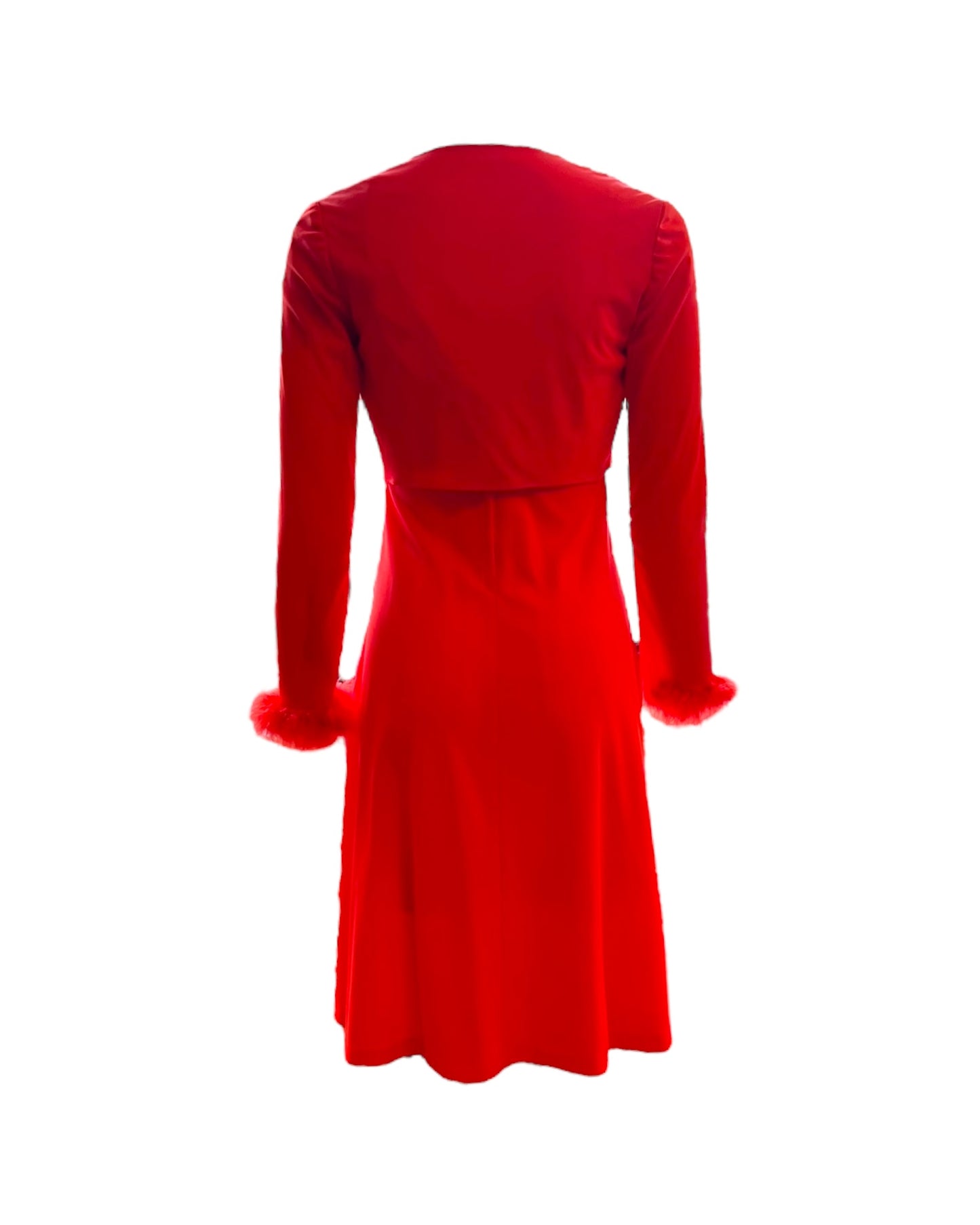 Vintage Mini Red Dress Set with a Rose Pin and Feather Trim