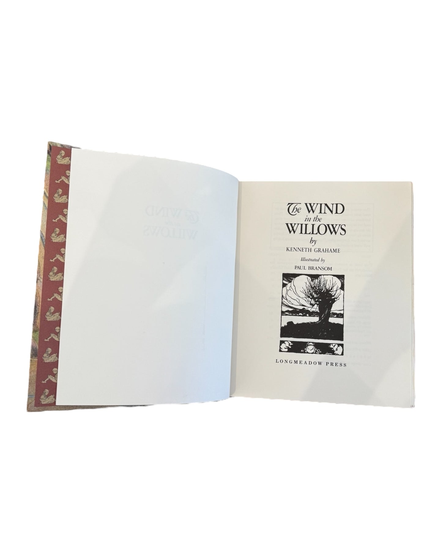 The Wind in the Willows by Kenneth Grahame Book