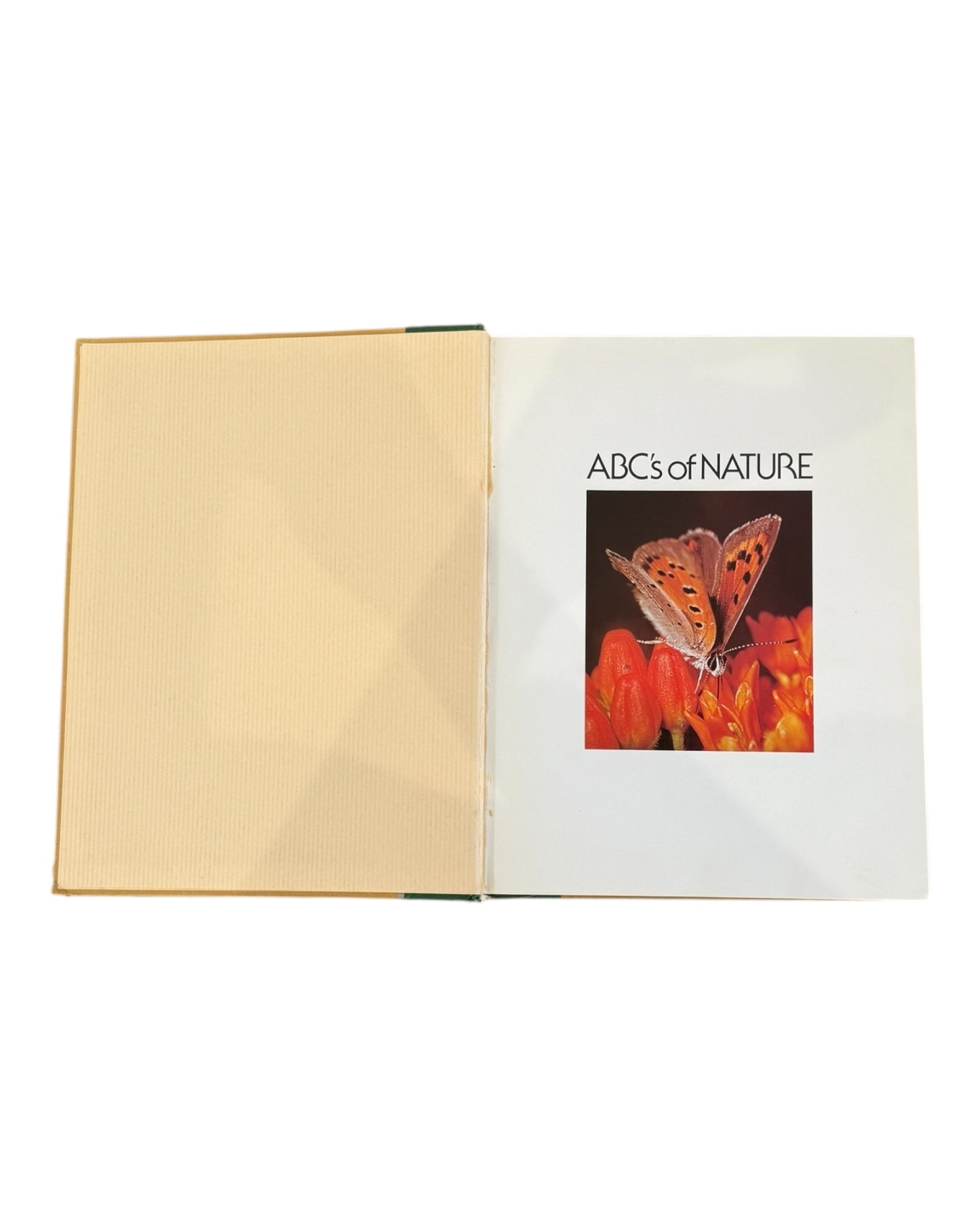 The ABC's of Nature Book