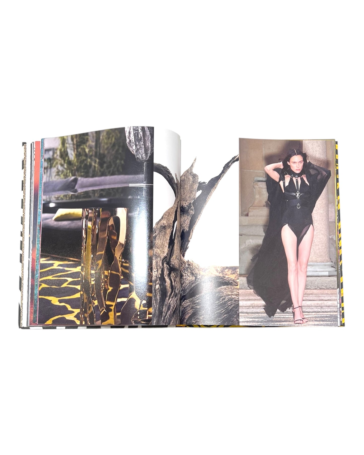 Pre-Loved Casa Cavalli Home Coffee Table Book