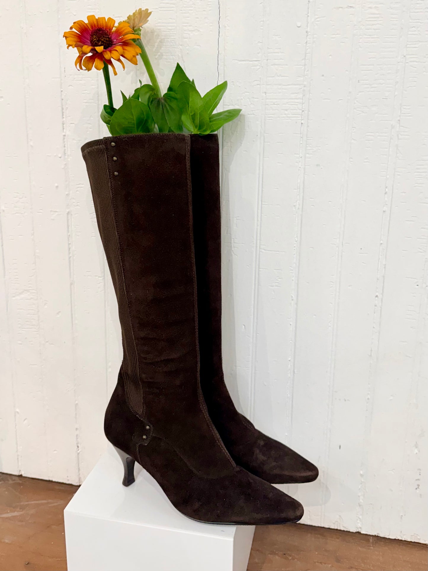 Pre-Loved Aquatalia Brown Suede Knee-High Boots