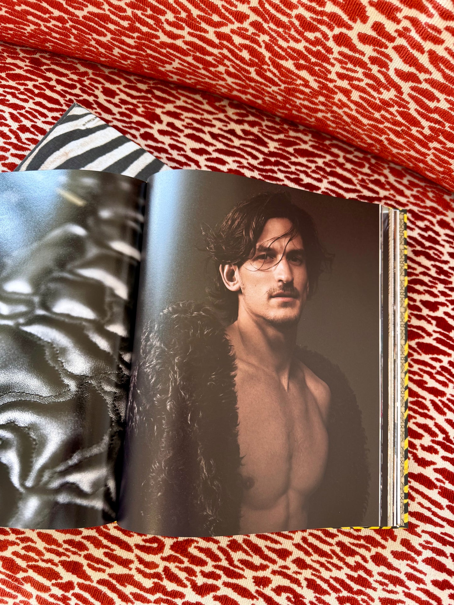 Pre-Loved "Casa Cavalli: Home" Coffee Table Book