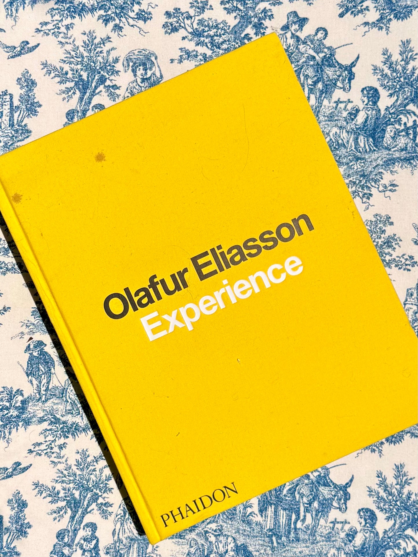 Pre-Loved "Olafur Eliasson: Experience" A Revised and Expanded Edition