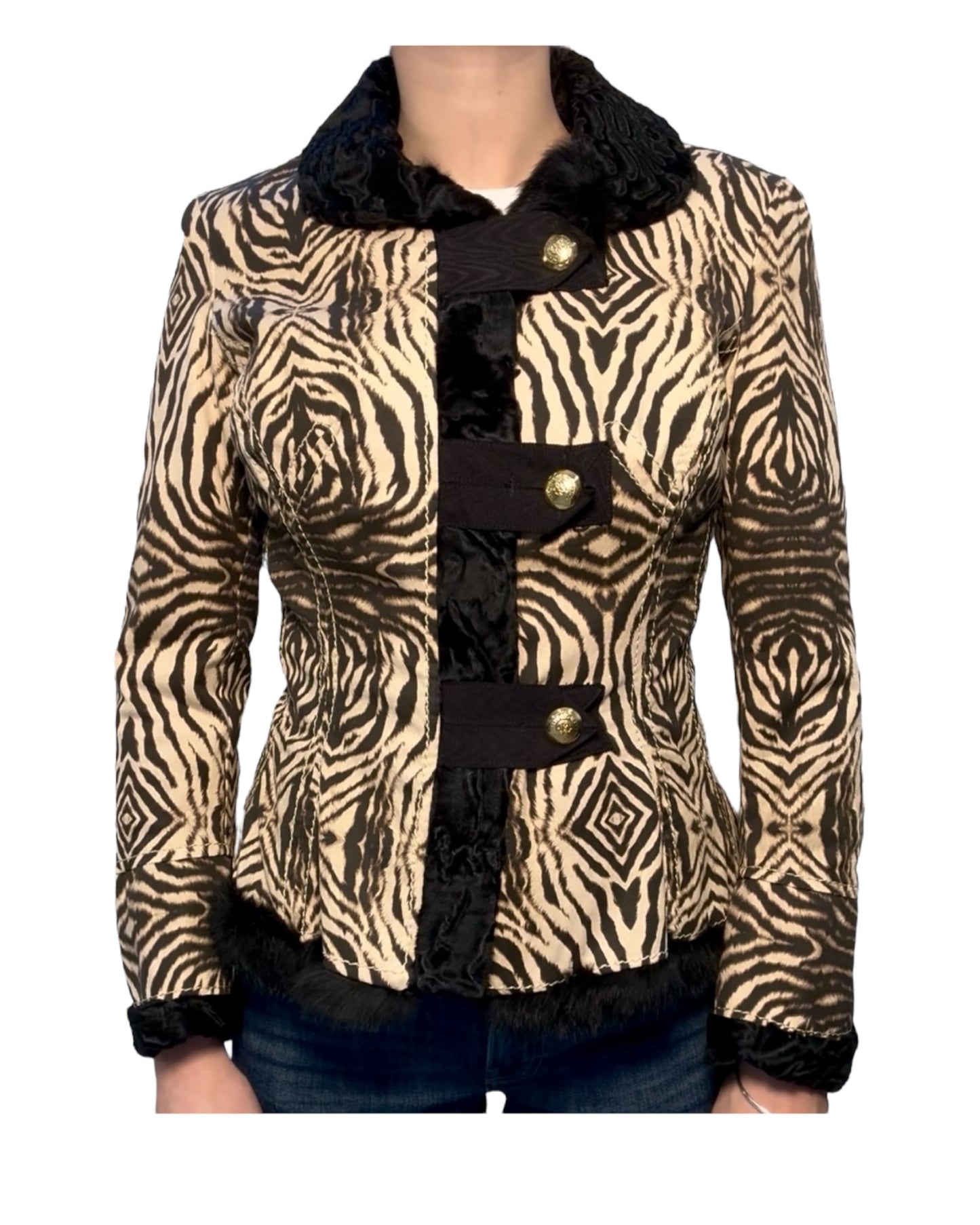 Vintage 2006 Roberto Cavalli Zebra Print and Fur Coat