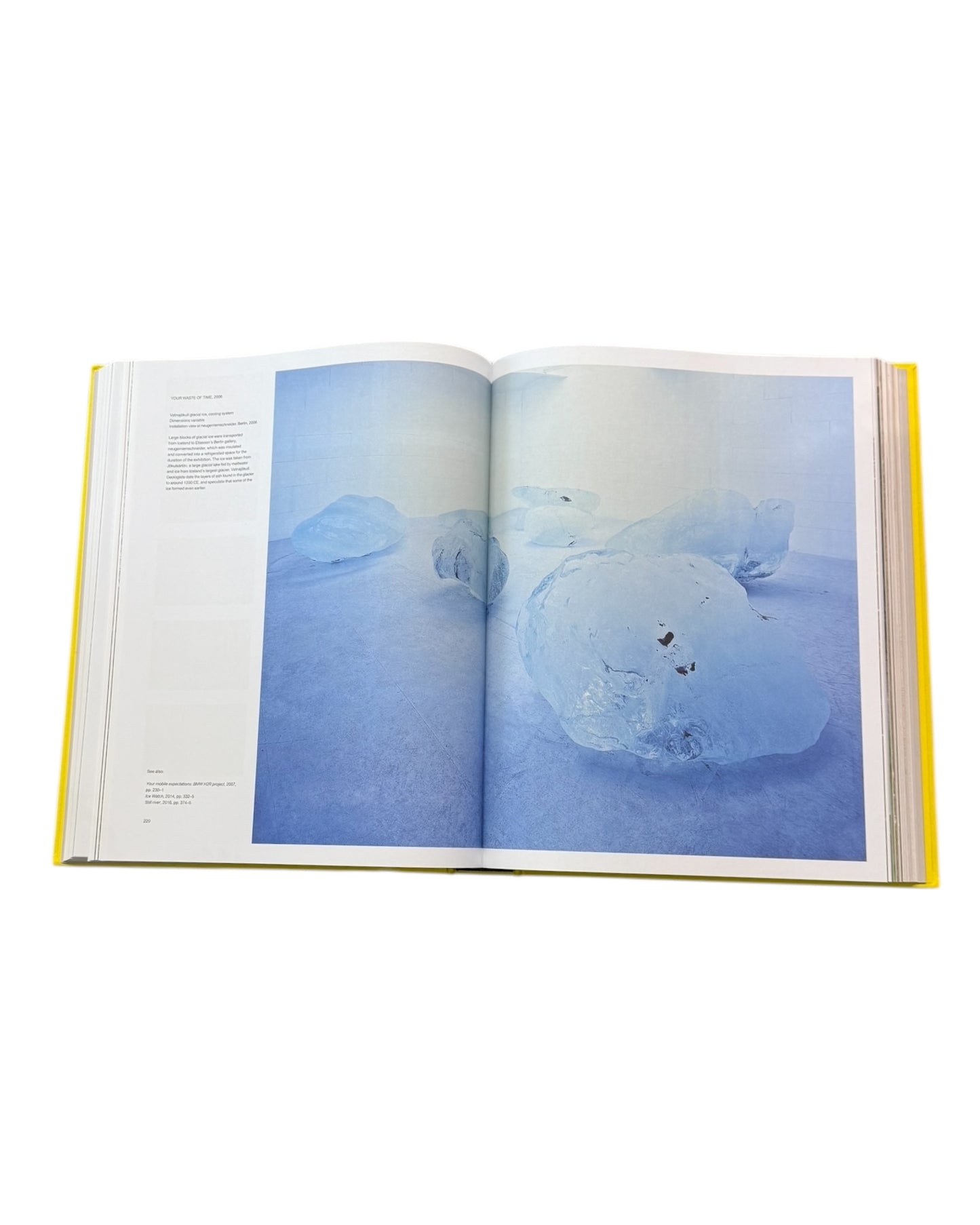 Pre-Loved "Olafur Eliasson: Experience" A Revised and Expanded Edition